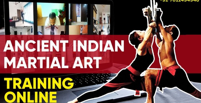 Kalaripayattu Online